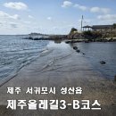 한국도로공사 앞-B(우측) | [제주올레길 3-B코스 정방향] 온평포구 → 표선해수욕장 14.6km, 배고픈 다리에서 색다른 경험