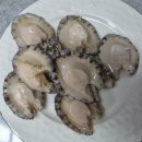 삐돌이네 | 완도에서 직송되 싱싱한 활전복! 물회와 버터구이로 해먹은 전복파티(ft.손질법)