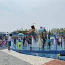 신정공원 이미지