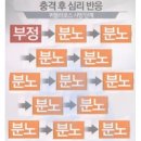 애월애