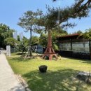 자인계정숲(씨름장) 이미지