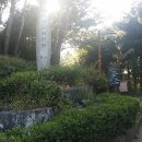 금호산(부대입구) 이미지