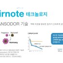 파인유얼뷰티
