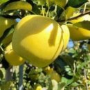 골드농장 이미지