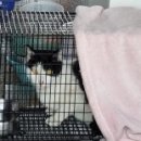 무수농장 이미지