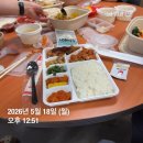 5/14-29 하루기록