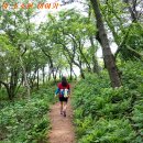 봉래산체육공원 이미지