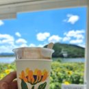 해바라기카페 이미지