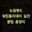 뉴질랜드 워킹홀리데이 실전 꿀팁 총정리