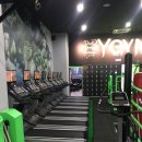 Y.GYM 이미지