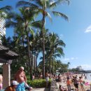 와이키키 이미지