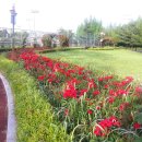 배산체육공원 축구장 이미지