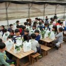 용인대타이곤 태권도 체육관 이미지