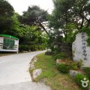 운문산자연휴양림 Daum카페