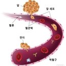 보훈행정사 이미지