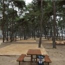 변산반도국립공원 고사포 야영장