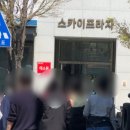 포르뚜나 네이버블로그