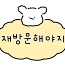 그레이프 독 네이버블로그