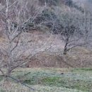 대간물농장 이미지