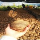 자양건강센터 이미지