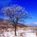 광일목장 이미지