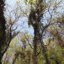 신가공원 이미지