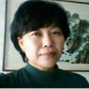 누에시에 티스토리