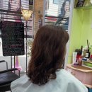 홍성천길 이미지