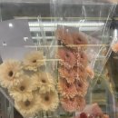 공성주유소 이미지