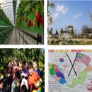 빗돌배기마을(송등) 이미지