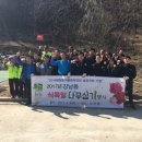 강남동-4 이미지