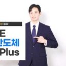 순자 주식회사 화이트페이퍼