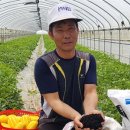 하나로농장 이미지