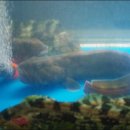 동백자연산횟집 이미지