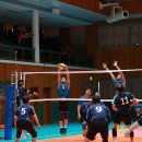 실버드림 이미지