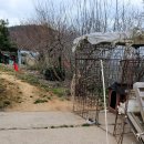 구라농장 이미지