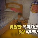 장미비디오 이미지