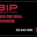 비아이피오토