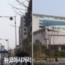 정발산역 Daum카페