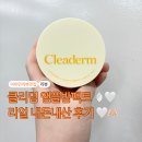 21 c | 클리덤 리포좀 비타민C 기미앰플밤 팩트 21호 솔직후기 다이소 5천원 득템