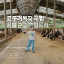 고구려소프트(주) | 아이와 서울근교 낙농 목장체험 파주 고구려 목장... 우유를 만드는 젖소와 친해지기!!