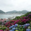 고흥-1호 이미지