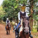 웅지승마센터 이미지