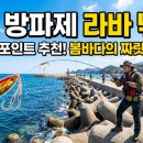 4월 방파제 라바 낚시 어종과 포인트 추천! 봄바다의 짜릿한 손맛 이미지