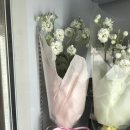 뉴힐링타임 이미지