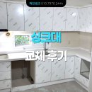 광진 pet 이미지