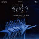 낙동라이브 이미지