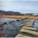 용문가든 이미지