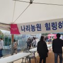 "홍하사의 잡다한 이야기"---(1107) "인생 이야기"---(29) "인생의 마지막 풍경" & "나리공원축제" 이미지