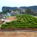 공룡게임장 이미지